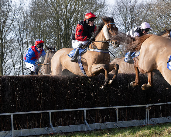 Race 1 - PPORA Novice Riders (60 of 123)