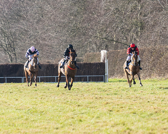 Race 1 - PPORA Novice Riders (67 of 123)