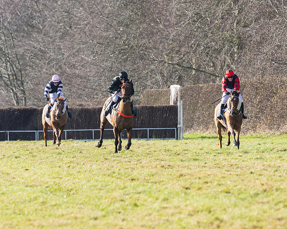 Race 1 - PPORA Novice Riders (68 of 123)