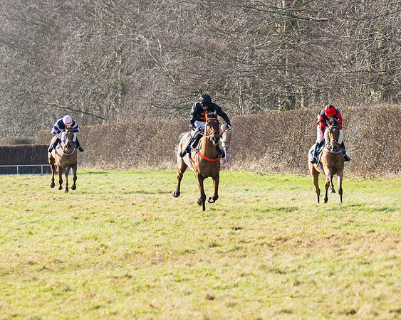 Race 1 - PPORA Novice Riders (71 of 123)