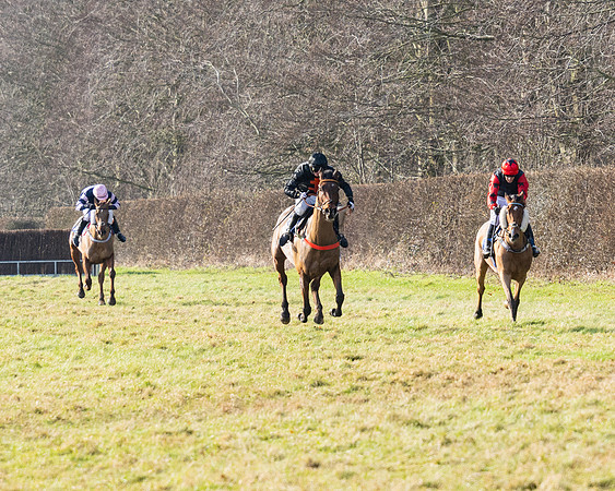 Race 1 - PPORA Novice Riders (72 of 123)
