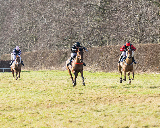 Race 1 - PPORA Novice Riders (73 of 123)