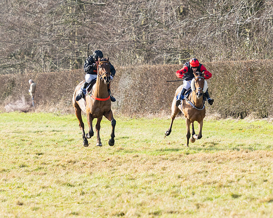 Race 1 - PPORA Novice Riders (74 of 123)