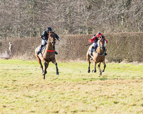 Race 1 - PPORA Novice Riders (75 of 123)