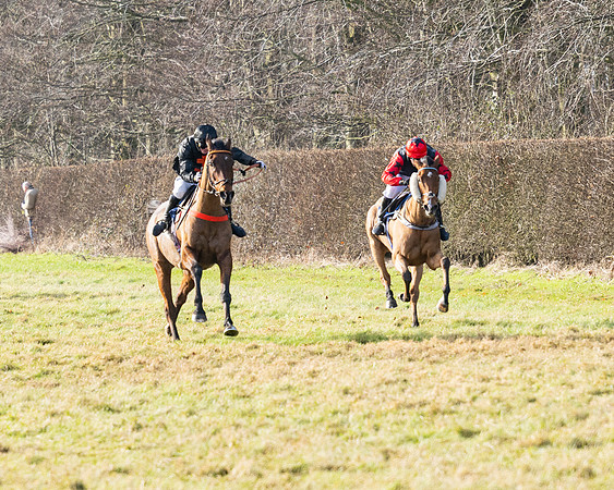 Race 1 - PPORA Novice Riders (76 of 123)