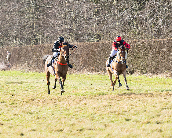 Race 1 - PPORA Novice Riders (77 of 123)