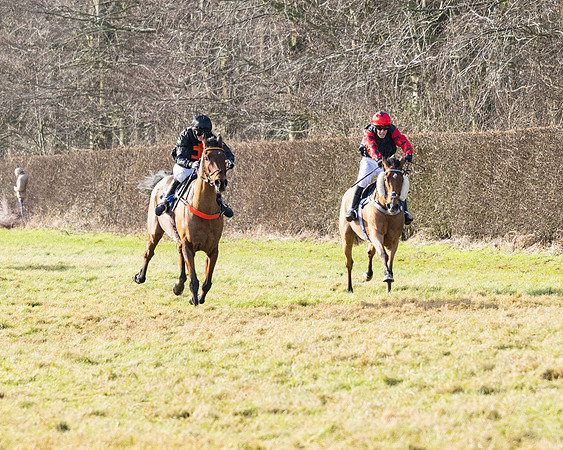 Race 1 - PPORA Novice Riders (78 of 123)
