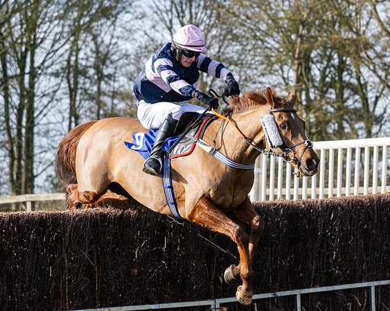 Race 1 - PPORA Novice Riders (88 of 123)