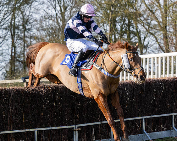 Race 1 - PPORA Novice Riders (89 of 123)