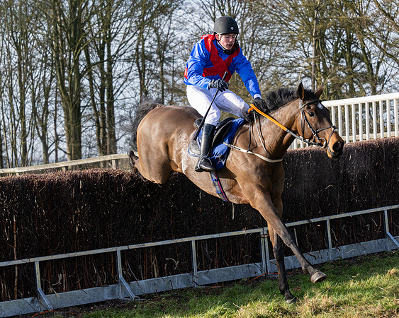 Race 1 - PPORA Novice Riders (96 of 123)