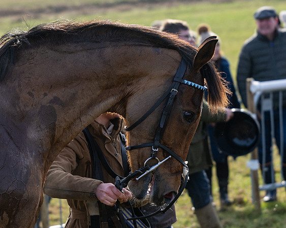 Race 1 - PPORA Novice Riders (123 of 123)