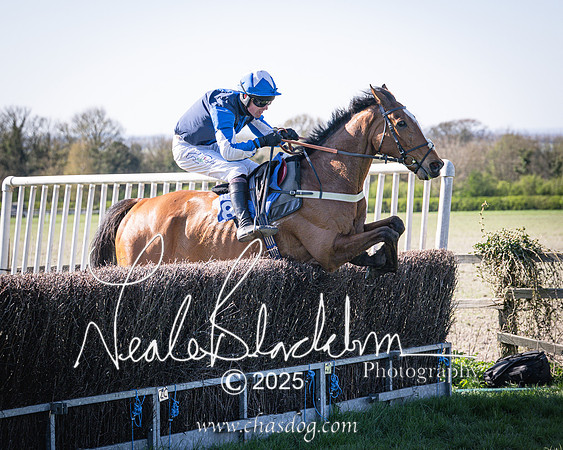 Race 6 - Veteran horse (86 of 109)