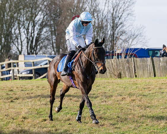 Race 2 - Restricted  (19 of 147)
