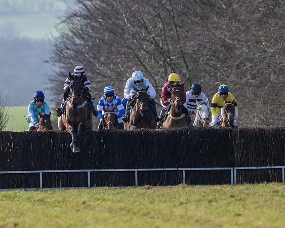 Race 2 - Restricted  (41 of 147)