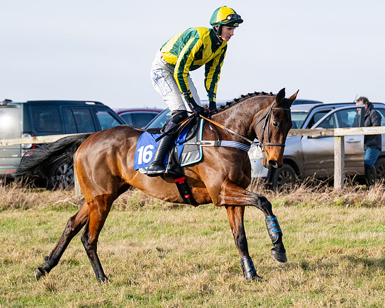 Race 3 - Mixed Open  (26 of 112)