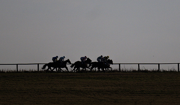 Race 3 - Mixed Open  (58 of 112)