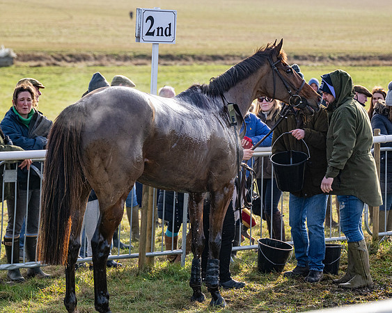 Race 3 - Mixed Open  (109 of 112)