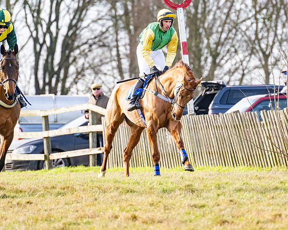 Race 4 - Maiden (8 of 118)
