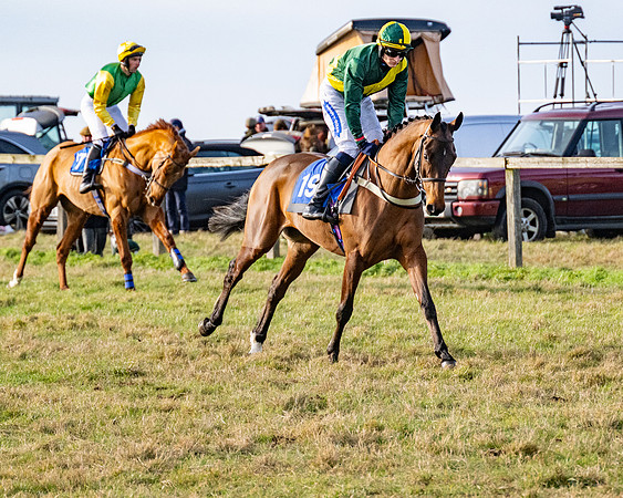 Race 4 - Maiden (10 of 118)