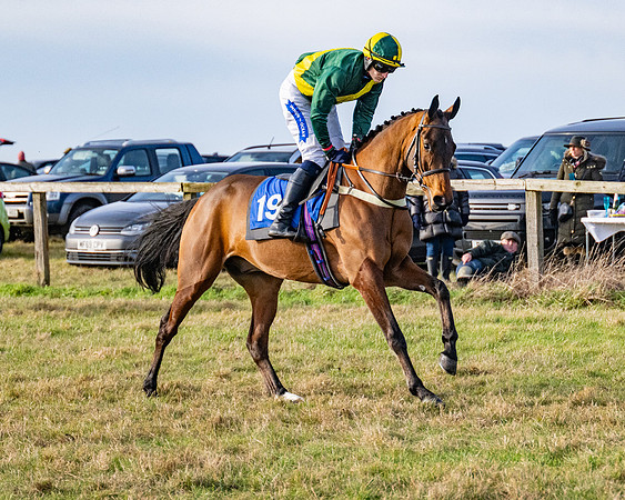 Race 4 - Maiden (11 of 118)