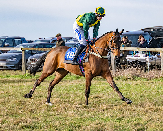 Race 4 - Maiden (12 of 118)