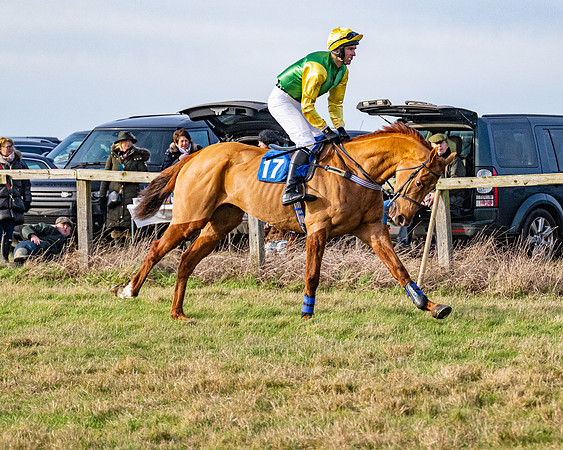 Race 4 - Maiden (13 of 118)