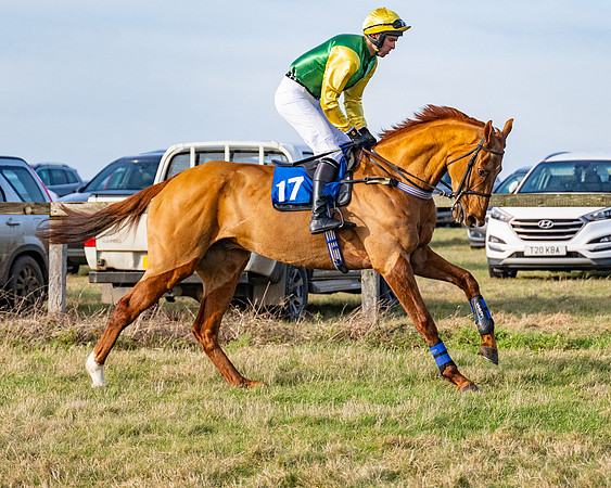Race 4 - Maiden (14 of 118)