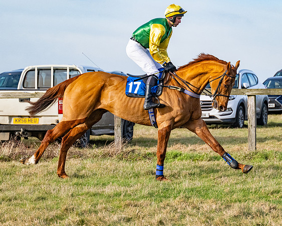 Race 4 - Maiden (15 of 118)