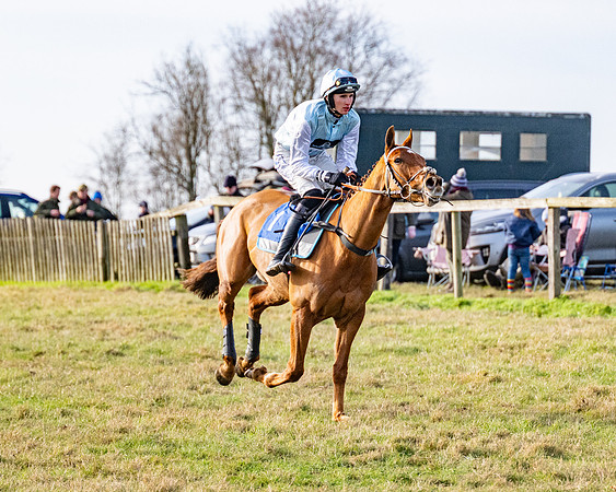 Race 4 - Maiden (16 of 118)