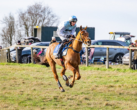 Race 4 - Maiden (17 of 118)