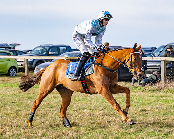 Race 4 - Maiden (18 of 118)