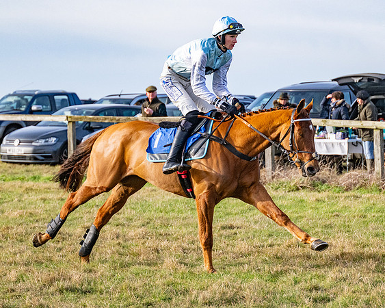 Race 4 - Maiden (19 of 118)