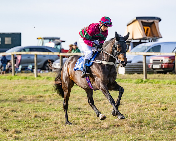 Race 4 - Maiden (20 of 118)