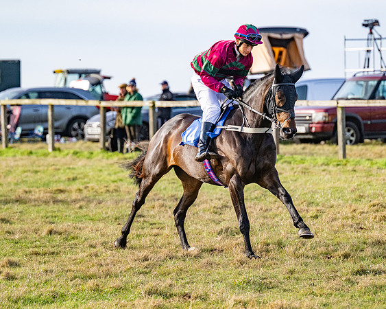 Race 4 - Maiden (21 of 118)