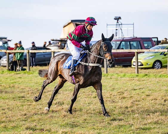 Race 4 - Maiden (22 of 118)
