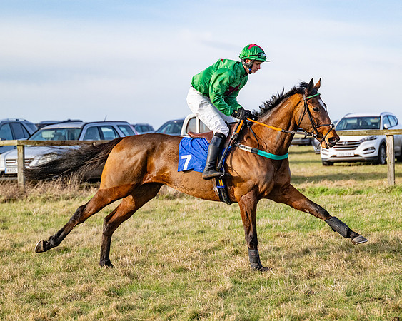 Race 4 - Maiden (25 of 118)