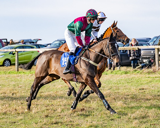 Race 4 - Maiden (27 of 118)