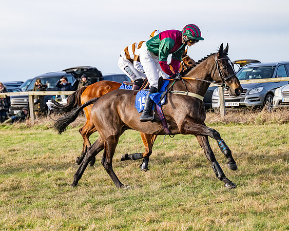 Race 4 - Maiden (29 of 118)