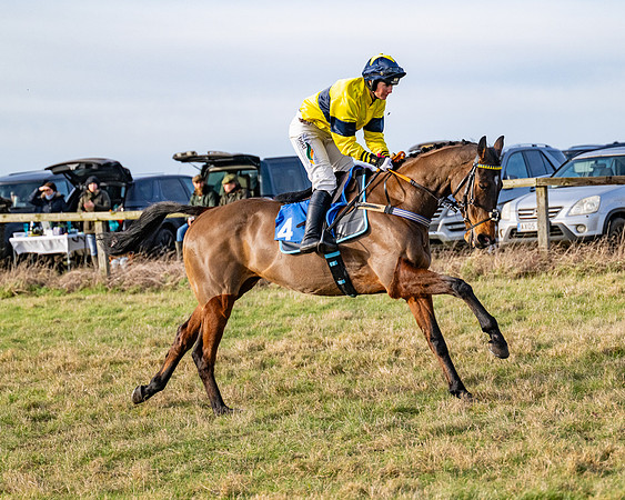 Race 4 - Maiden (30 of 118)