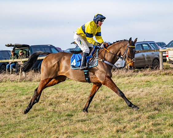 Race 4 - Maiden (31 of 118)