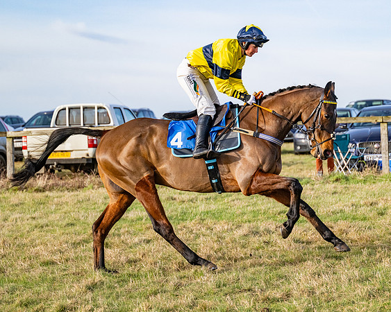 Race 4 - Maiden (32 of 118)