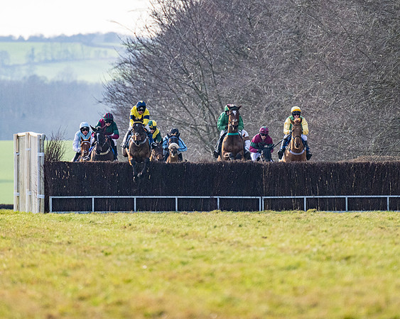 Race 4 - Maiden (36 of 118)