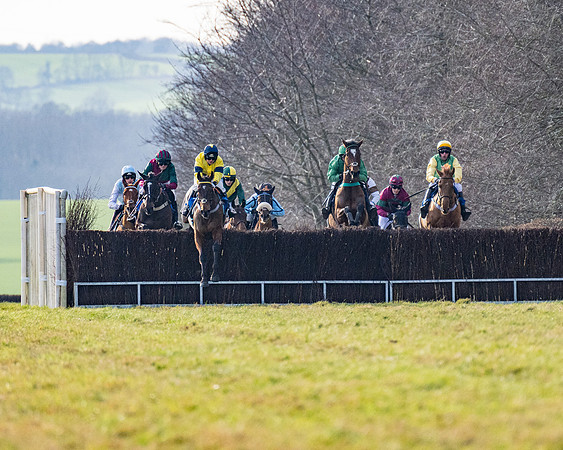 Race 4 - Maiden (37 of 118)