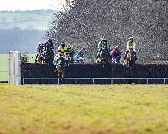 Race 4 - Maiden (39 of 118)