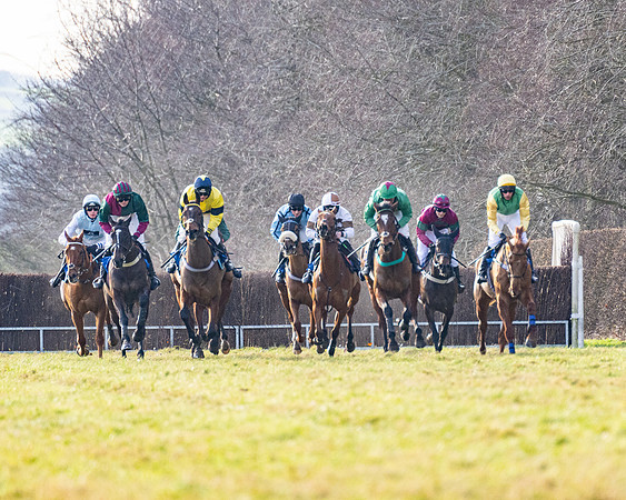 Race 4 - Maiden (40 of 118)