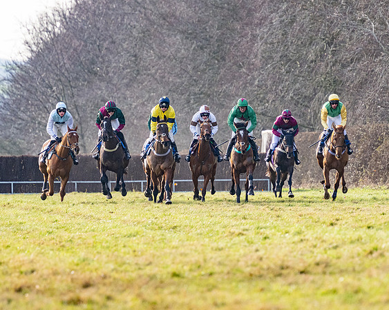 Race 4 - Maiden (41 of 118)