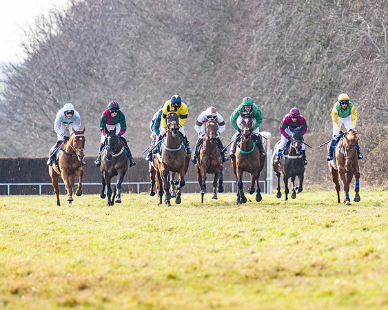Race 4 - Maiden (42 of 118)