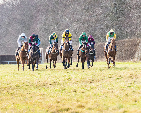 Race 4 - Maiden (46 of 118)