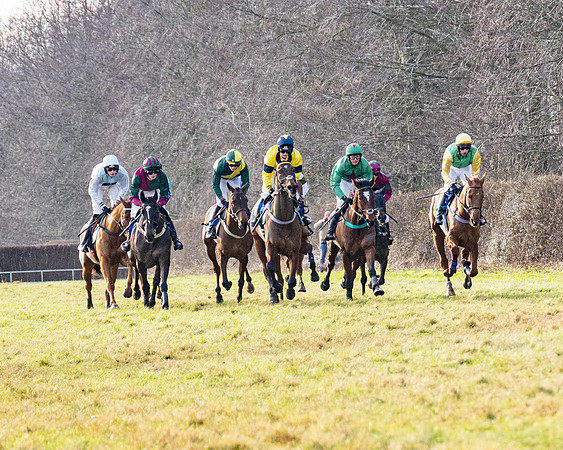 Race 4 - Maiden (47 of 118)
