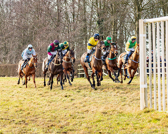 Race 4 - Maiden (48 of 118)